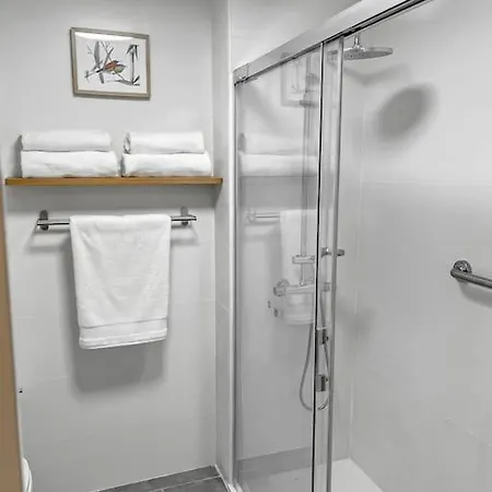 Hotel Nuevo Oasis Del Duque *